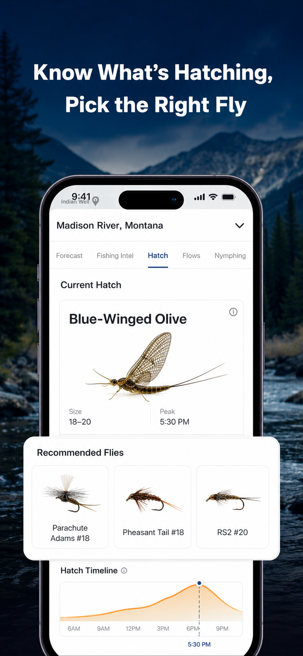 Know What's Hatching, Pick the Right Fly